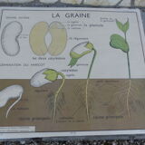 Botanical board
