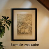 Gravure, canon ancien, mortier, fusil • lithographie originale de 1898