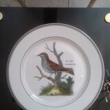 Assiettes Paradiso