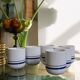 6 cups 'Total' vintage retro
