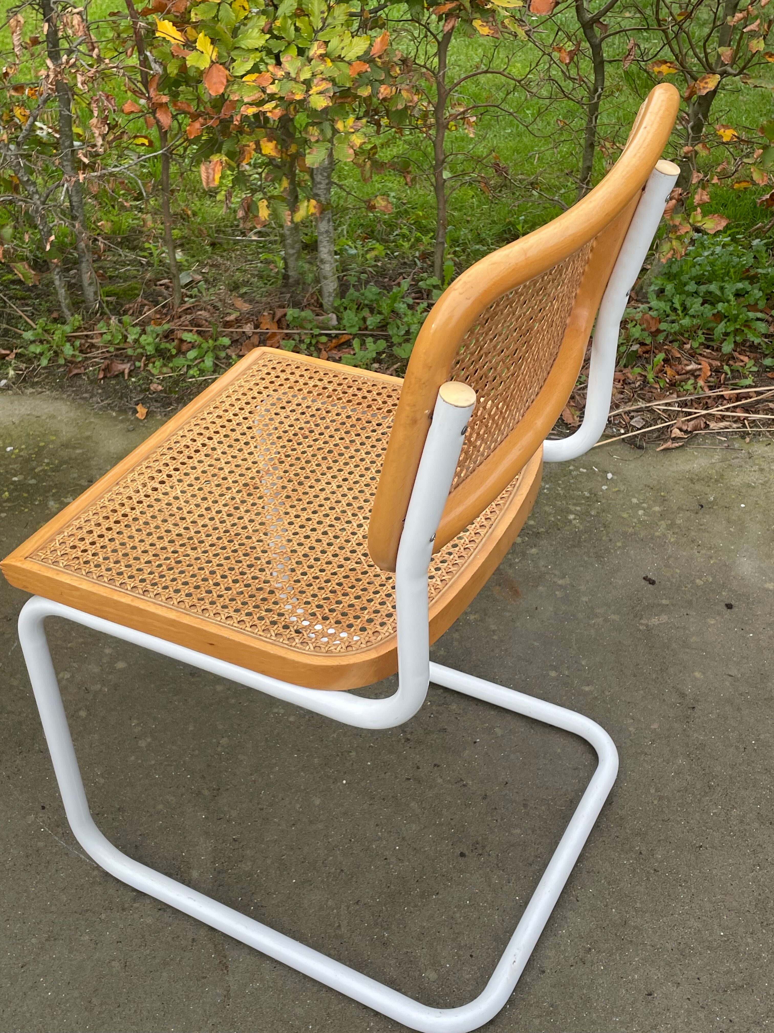 Cesca chair b32 model in white and wood by Marcel Breuer