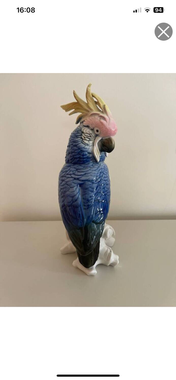 Bird Great Cockatoo Karl Ens