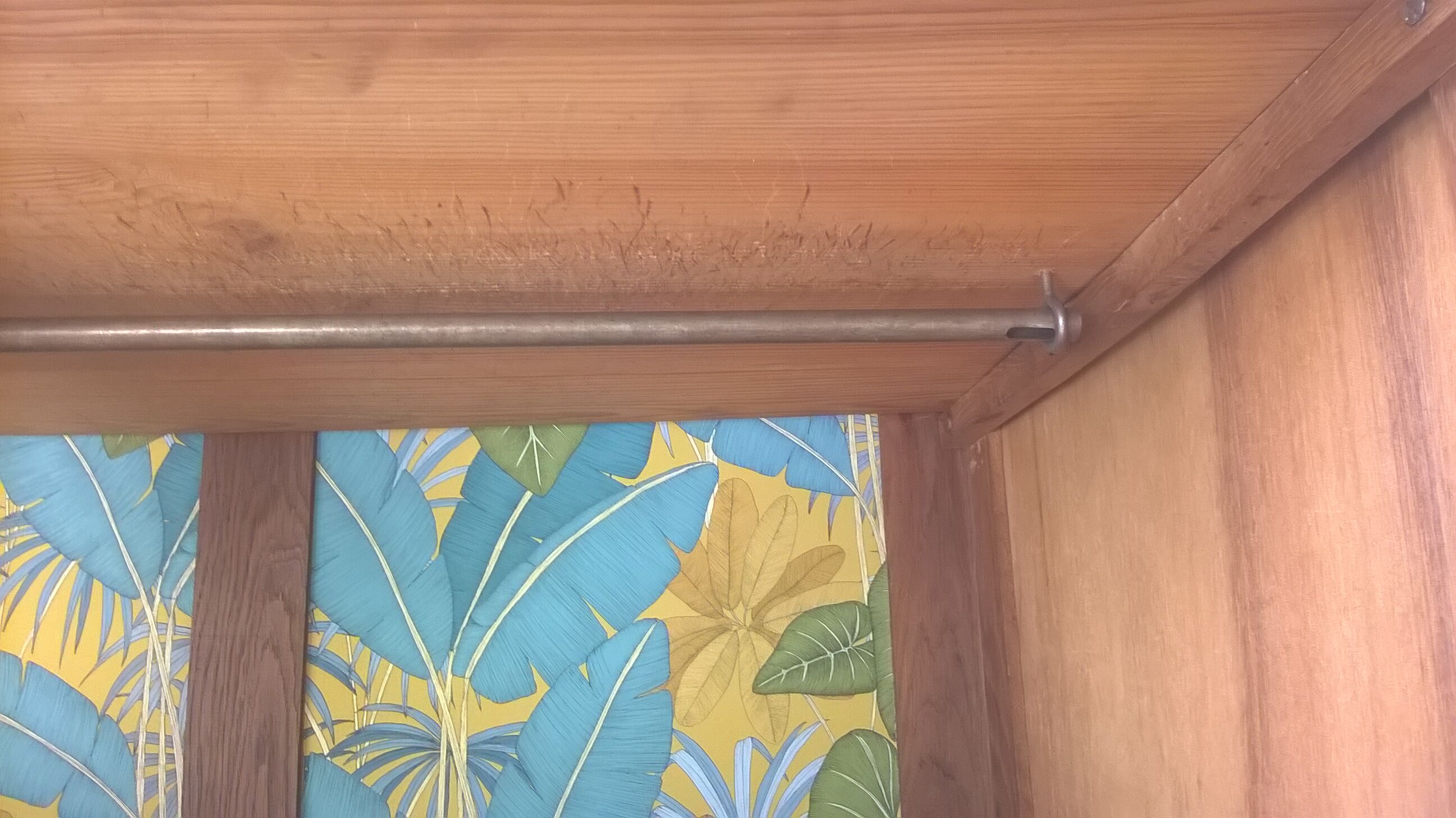 Parisian art deco wardrobe