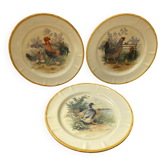 Série De 3 Anciennes Assiettes Céramique Décor H. ARNDT Coq Poule & Canard #B188
