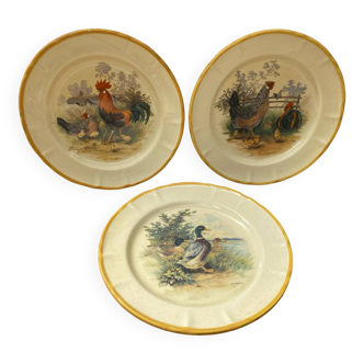 Set of 3 Old Ceramic Plates Decor H. ARNDT Rooster Hen & Duck #B188