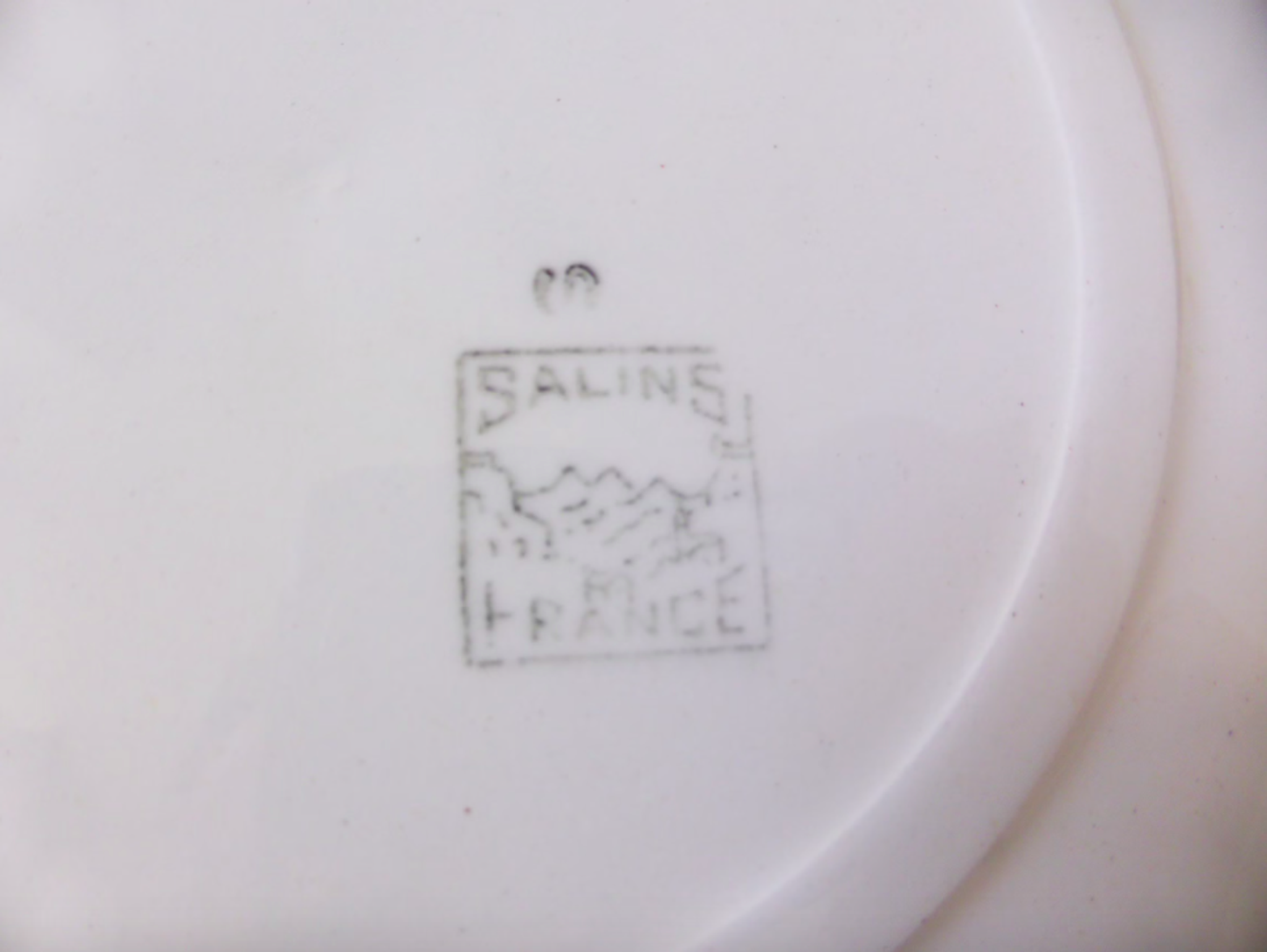 Set of 4 vintage porcelain dinner plates from the Salins factory