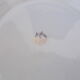 Lot 11 assiettes plates moulin des loups