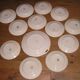 Service of 12 plates and plate with decoration of flowers Amandinoise St Amand