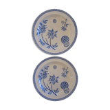 Round dishes Iron Earth