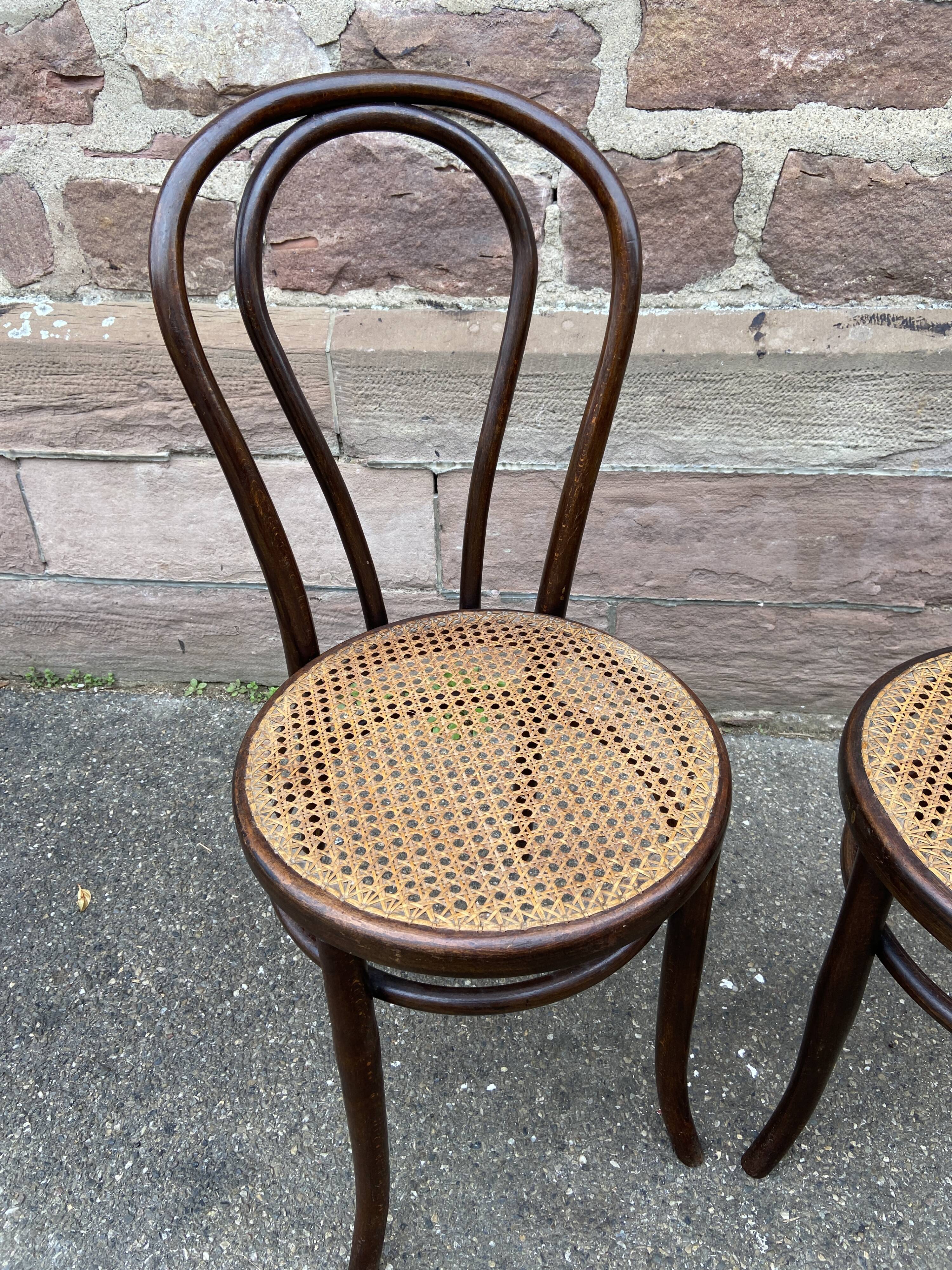 Pair of chairs bentwood Fischel Nr 18 vintage 1920