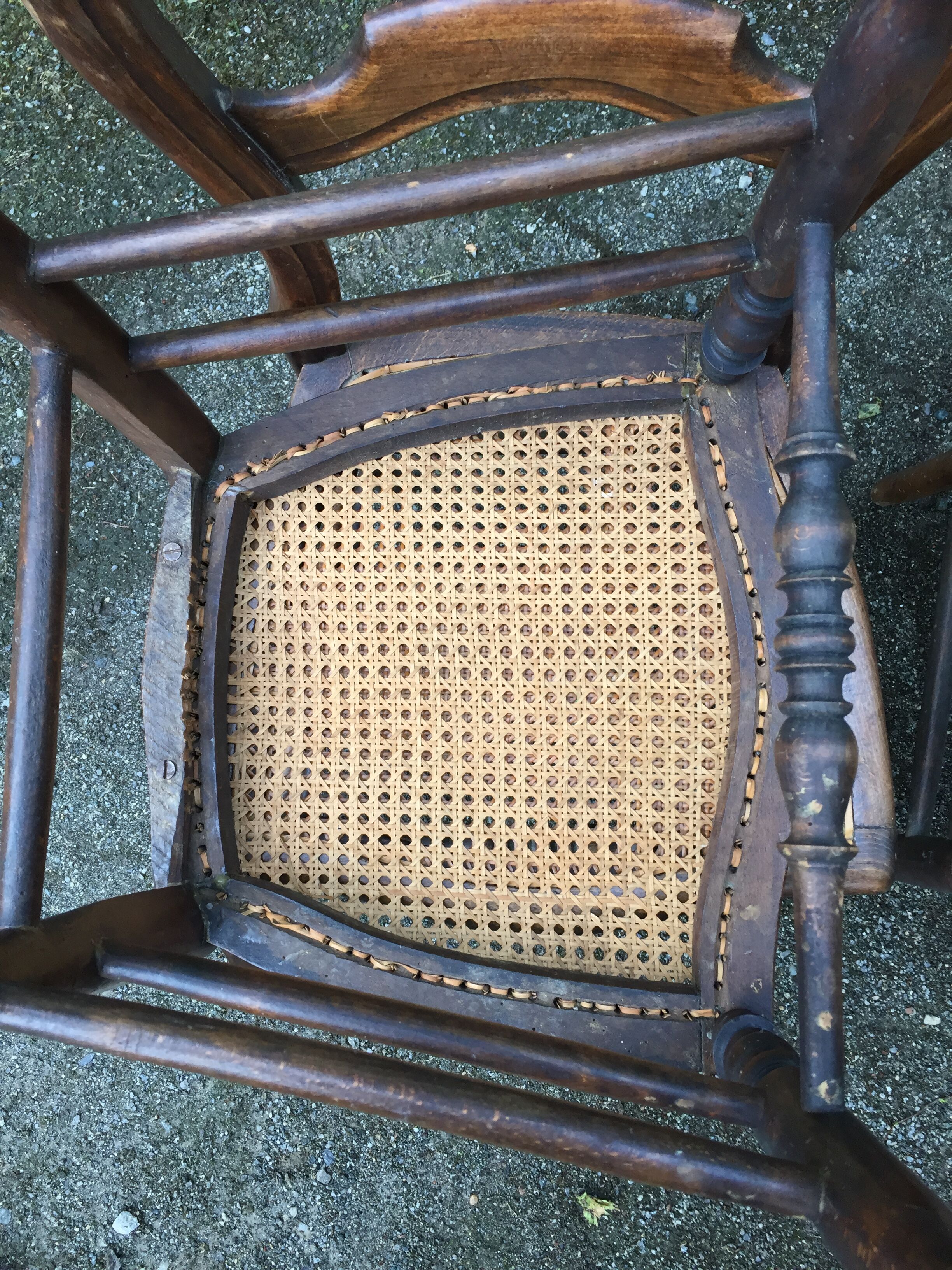 Louis Philippe style beech chairs