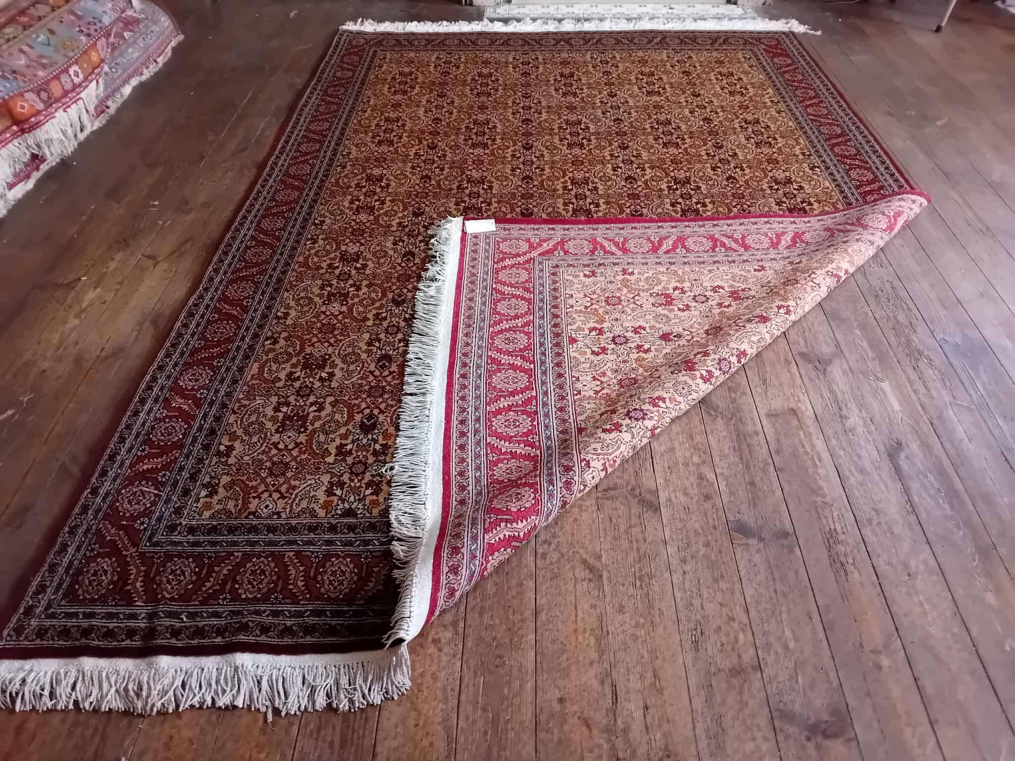 Handmade Shirvan Caucasian Rug 283x200ccm