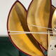 Lotus flower sconces