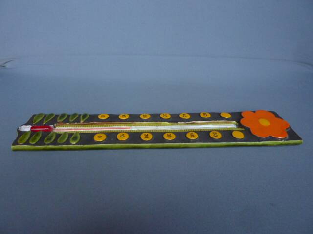 Thermometer with a scales