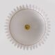 Italian Murano Glass Feather Chandelier with Brass Details
