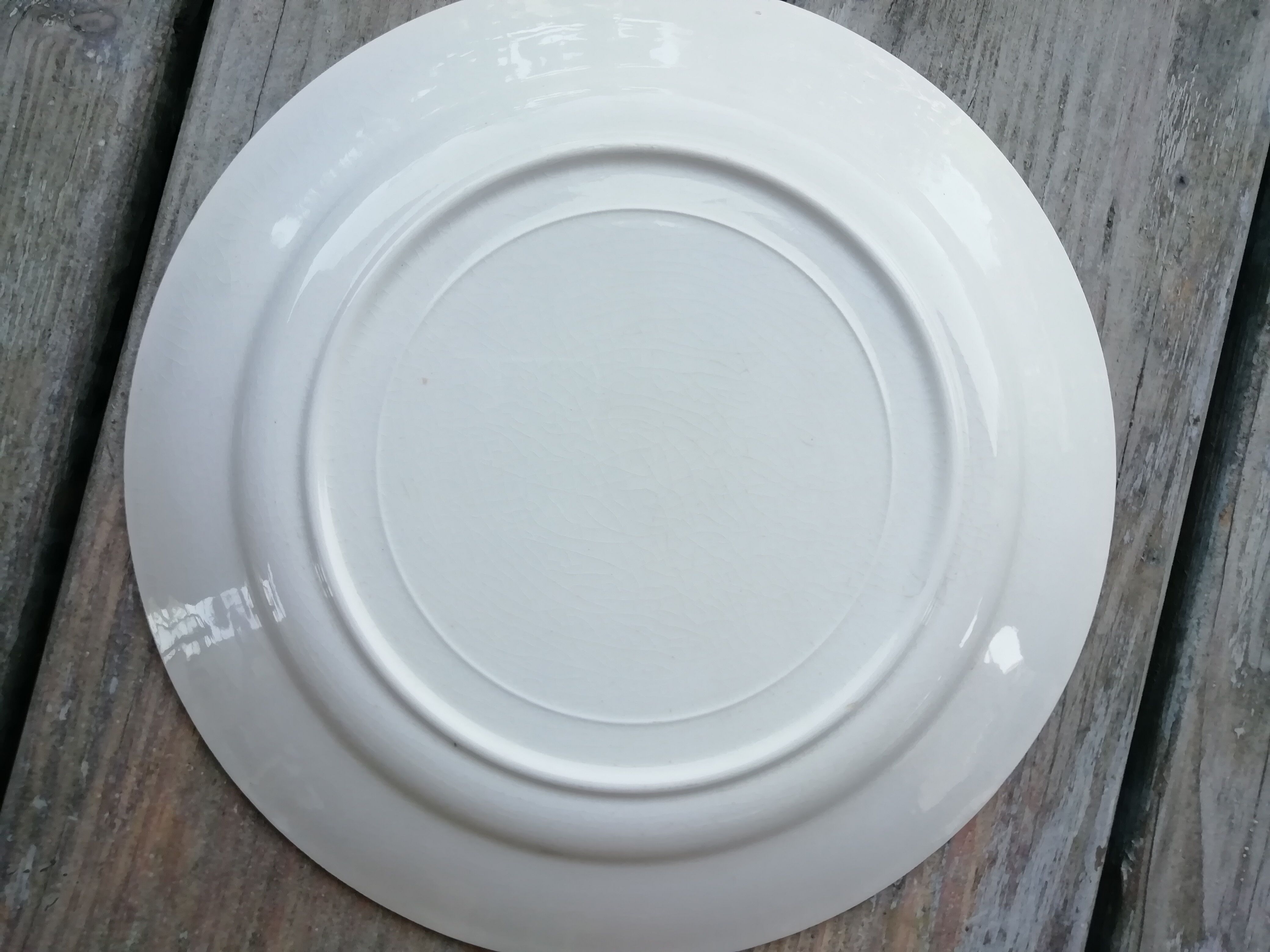 Set of flat plates mint green edge