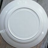 Set of flat plates mint green edge