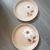 2 plates