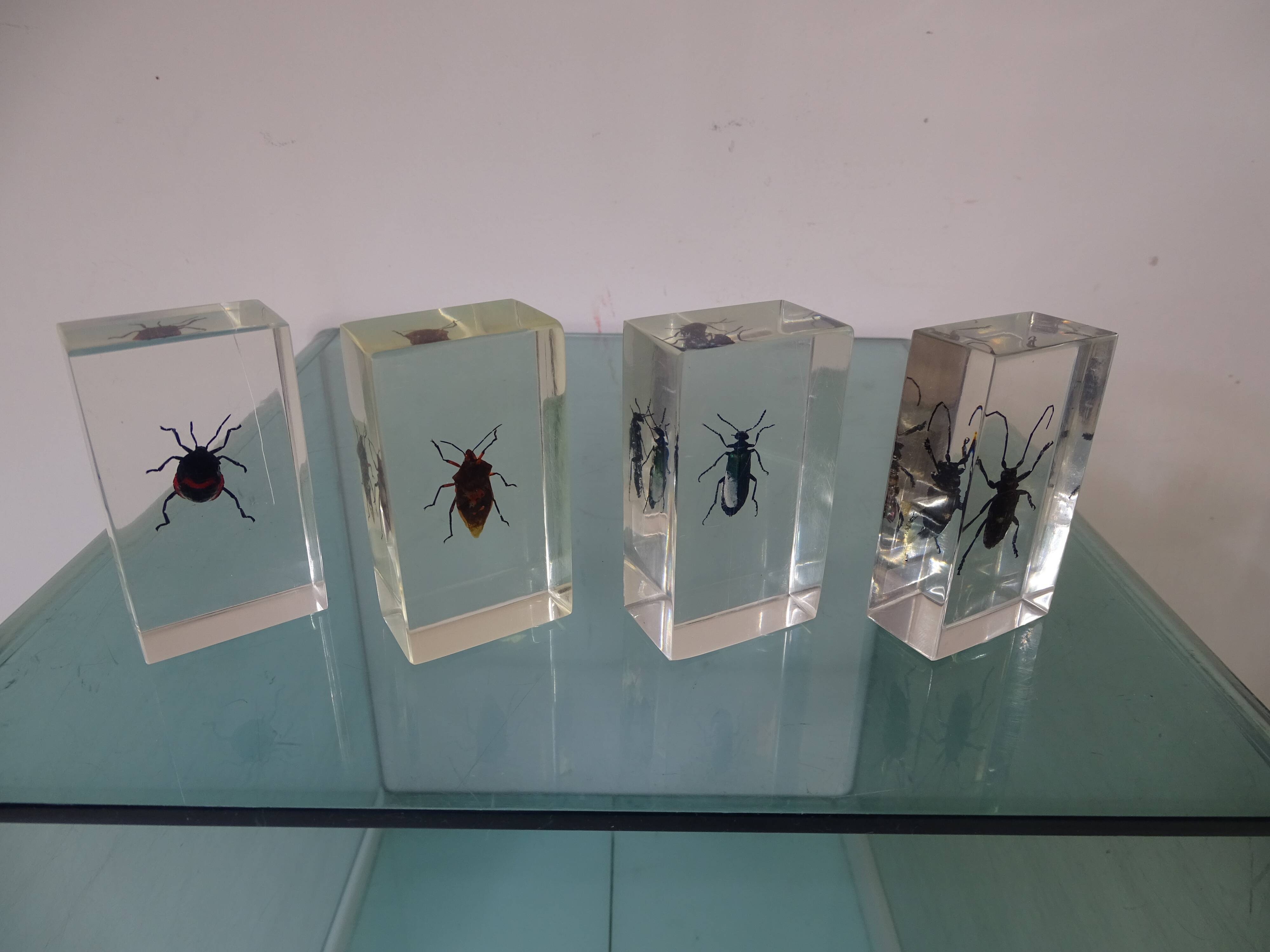 Lot 4 insects inclusions vintage resins to be identified