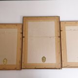 Gravures anciennes fleurs botanique par J.P.Redouté 1759- 1840 encadrés sous verre