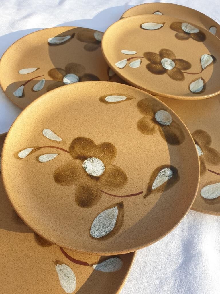 Set 6 flat plates D19.5 Nadège 1970 Sarreguemines