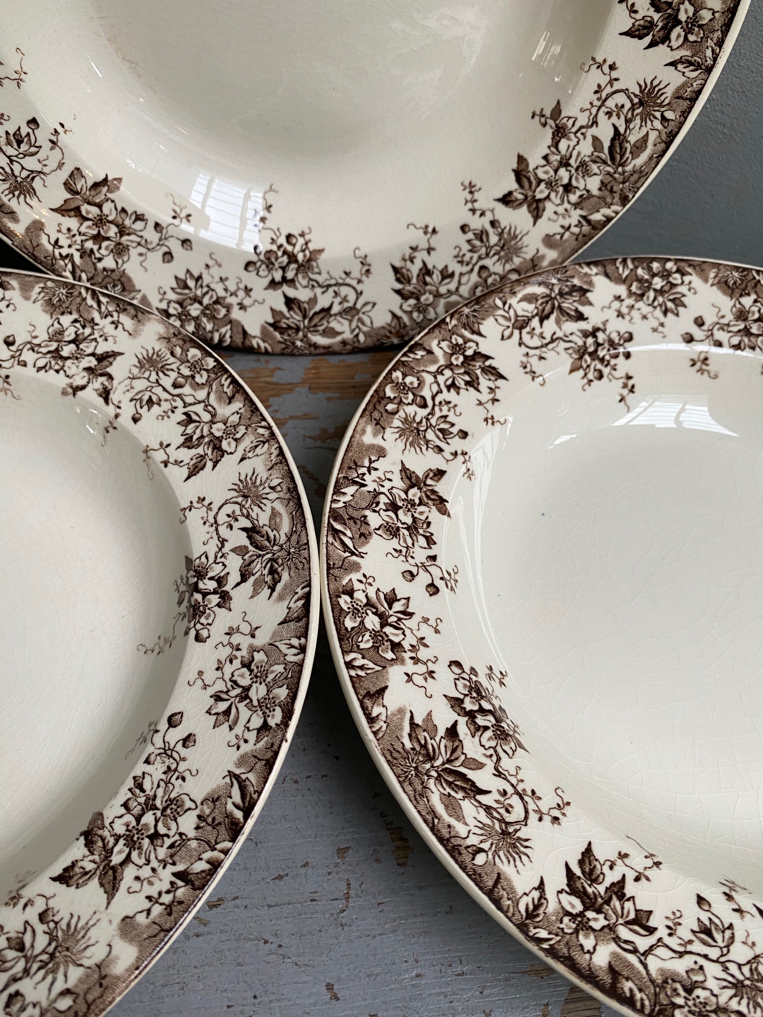 Old hollow plates earthenware of Sarreguemines