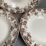 Old hollow plates earthenware of Sarreguemines