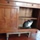 155 x 105 cm low-door buffet