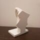 Plaster head