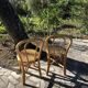 Vintage bamboo chairs and caning