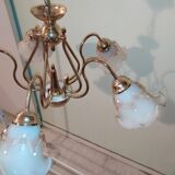 Glossy tulip swan collar chandelier with 5 golden arms