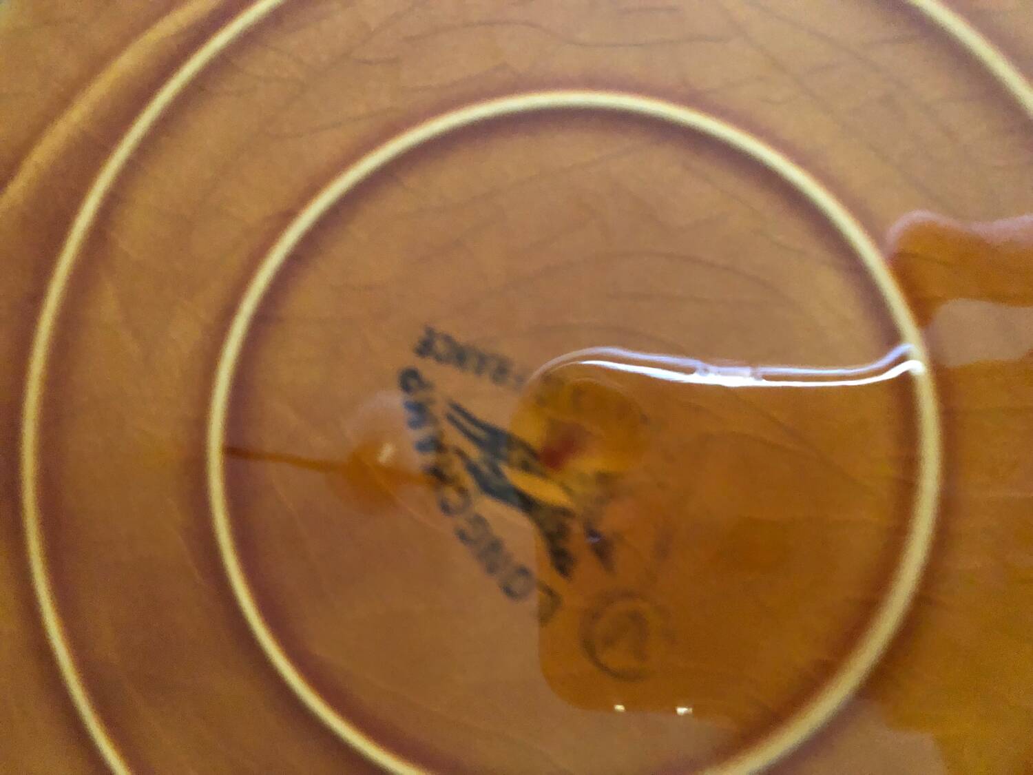 Longchamp dinner plates