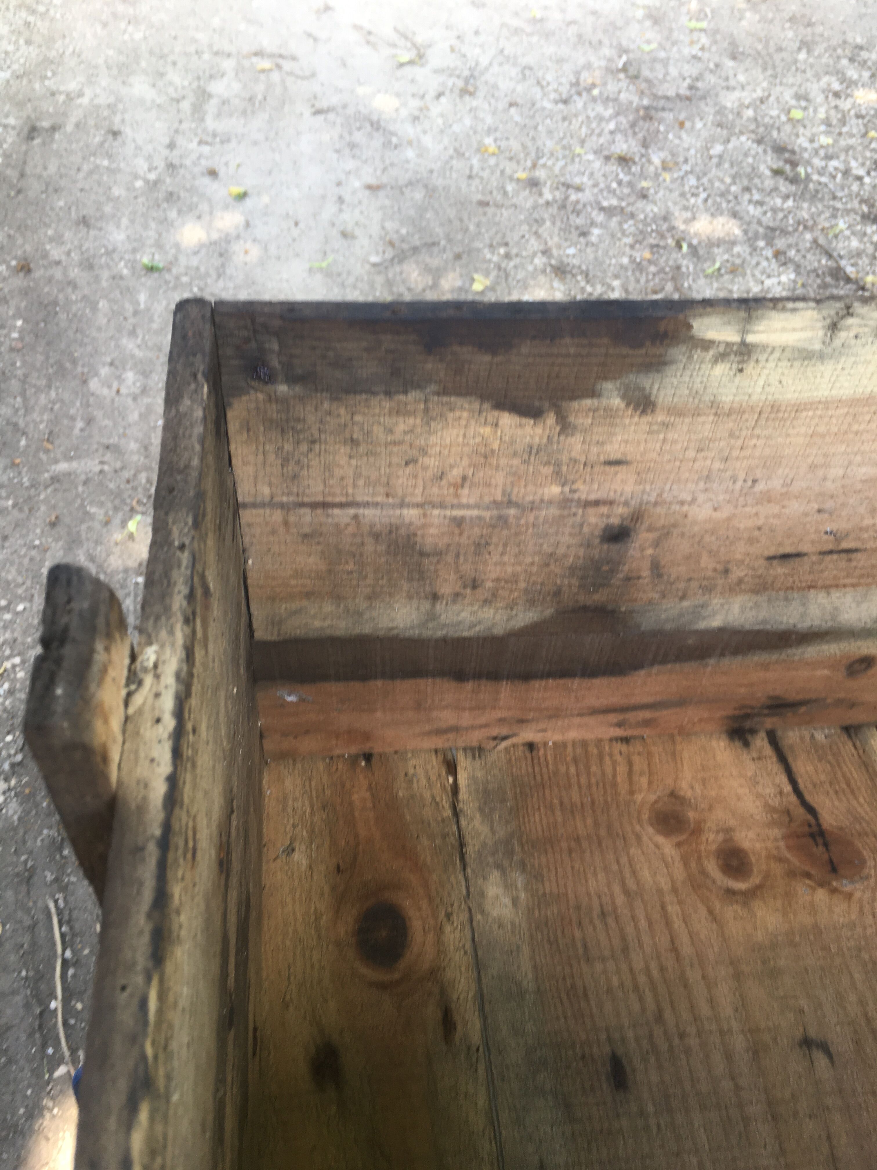 Wooden box Chocolate Foal