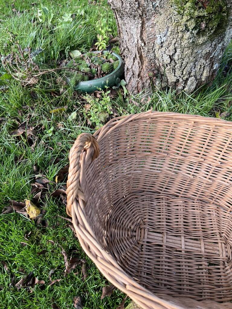 Wicker basket with handles