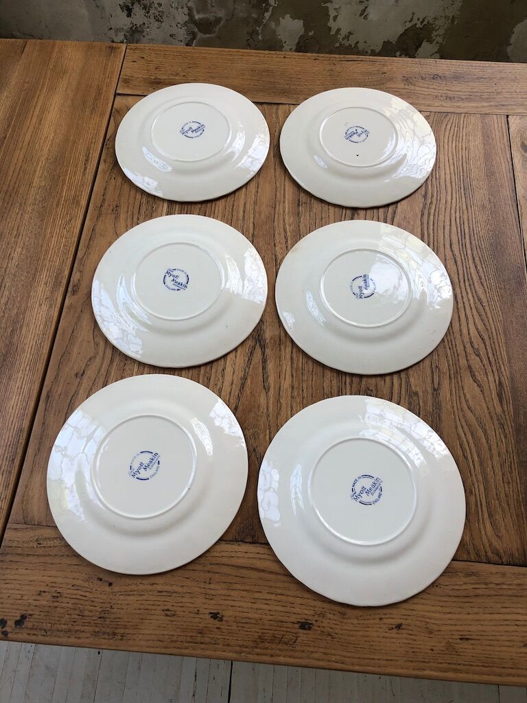 6 Myott Meakin plates