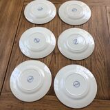 6 Myott Meakin plates