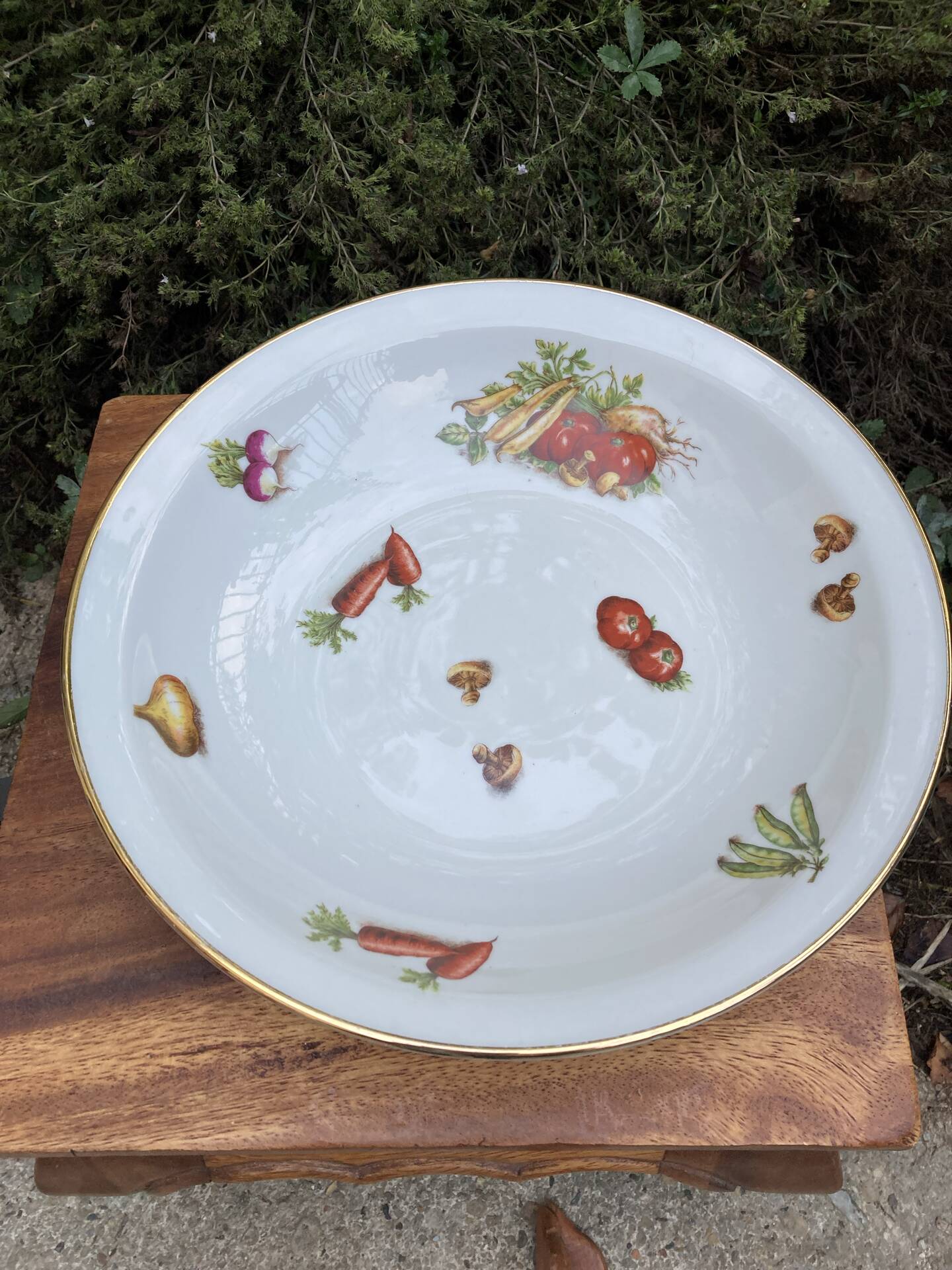 Plat maraîcher gravures botaniques d’antan
