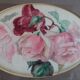 Ancient painting, watercolor "rosa the rose"