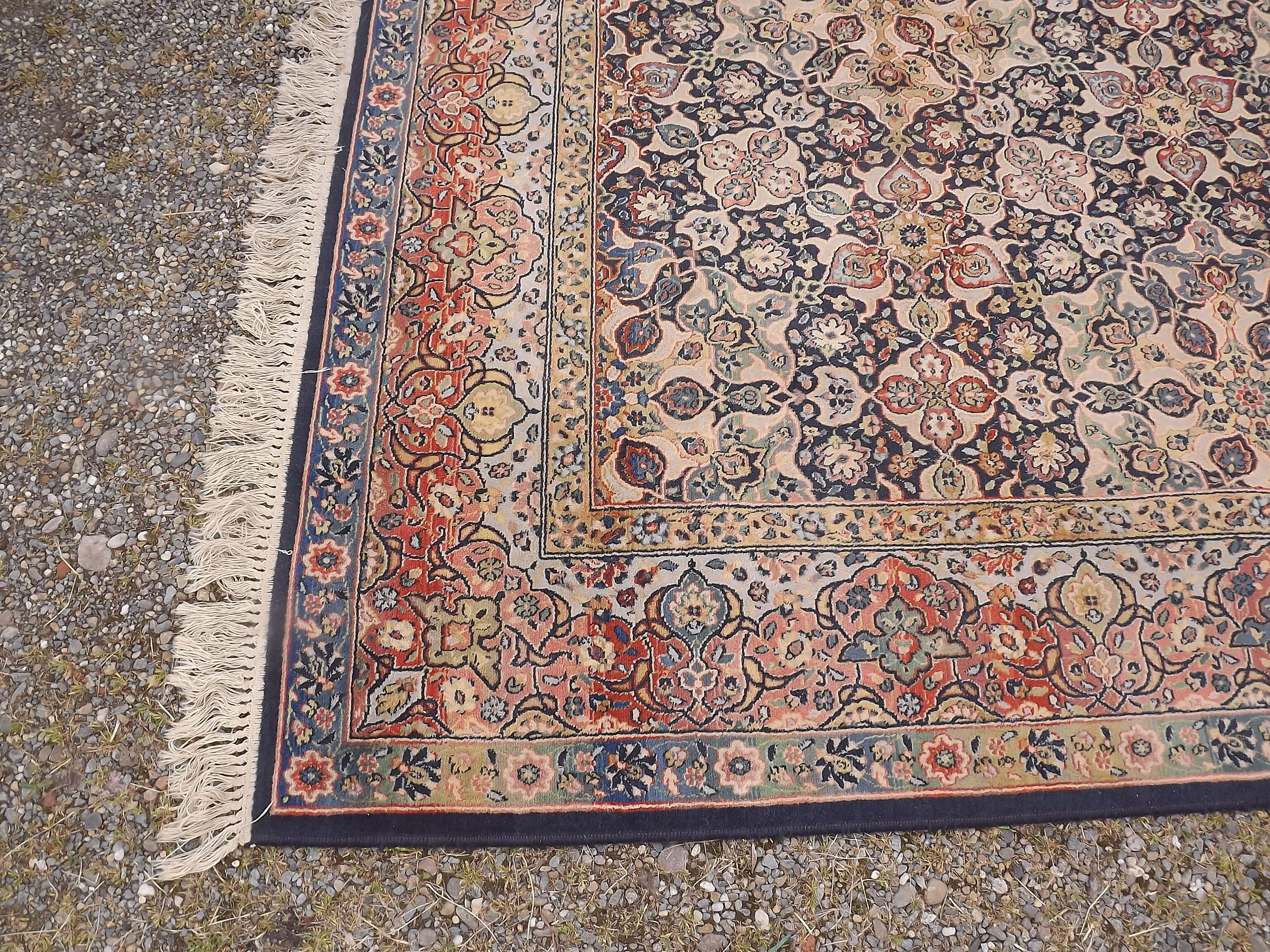 Woolmark rug pure Virgin wool 236 by 330