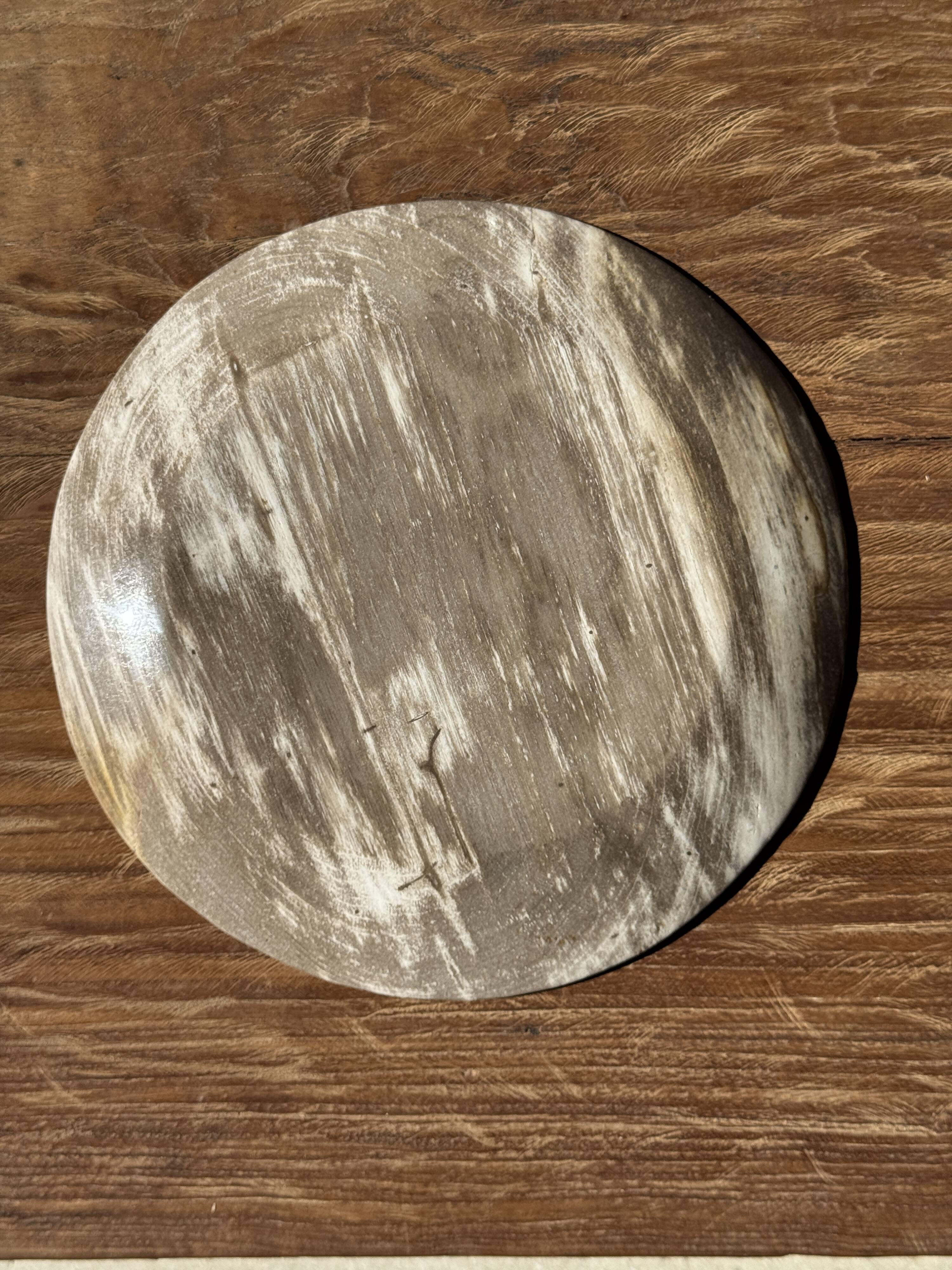 Petrified wood vide poche, circular dish or plate in light beige D25.