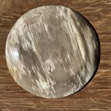 Petrified wood vide poche, circular dish or plate in light beige D25.