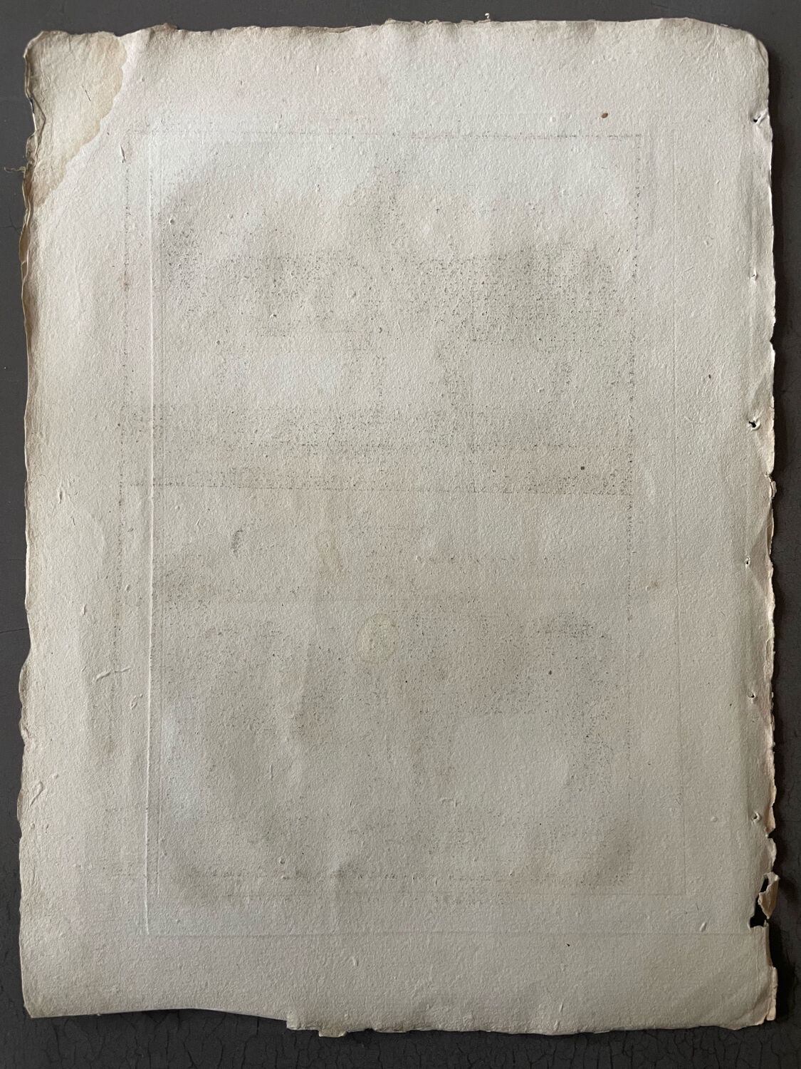 Book XVIIIth buffon, bonnaterre, natural history, quadrupeds, mammals