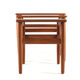 Set of 3 Danish Nesting Tables soldi teak - mid century modern design