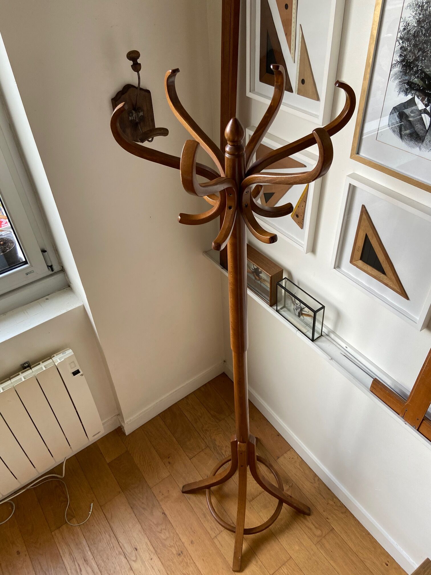 Light wooden parrot coat holder 6 patères