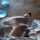 Crystal hand sculpture – Daum France paperweight