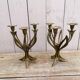 Brass art nouveau chandeliers