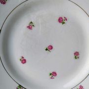 Lot 6 assiettes dessert porcelaine Moulin des Loups