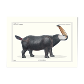 Lithographie gravure chimère animal - le toucéros
