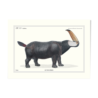 Lithographie gravure chimère animal - le toucéros