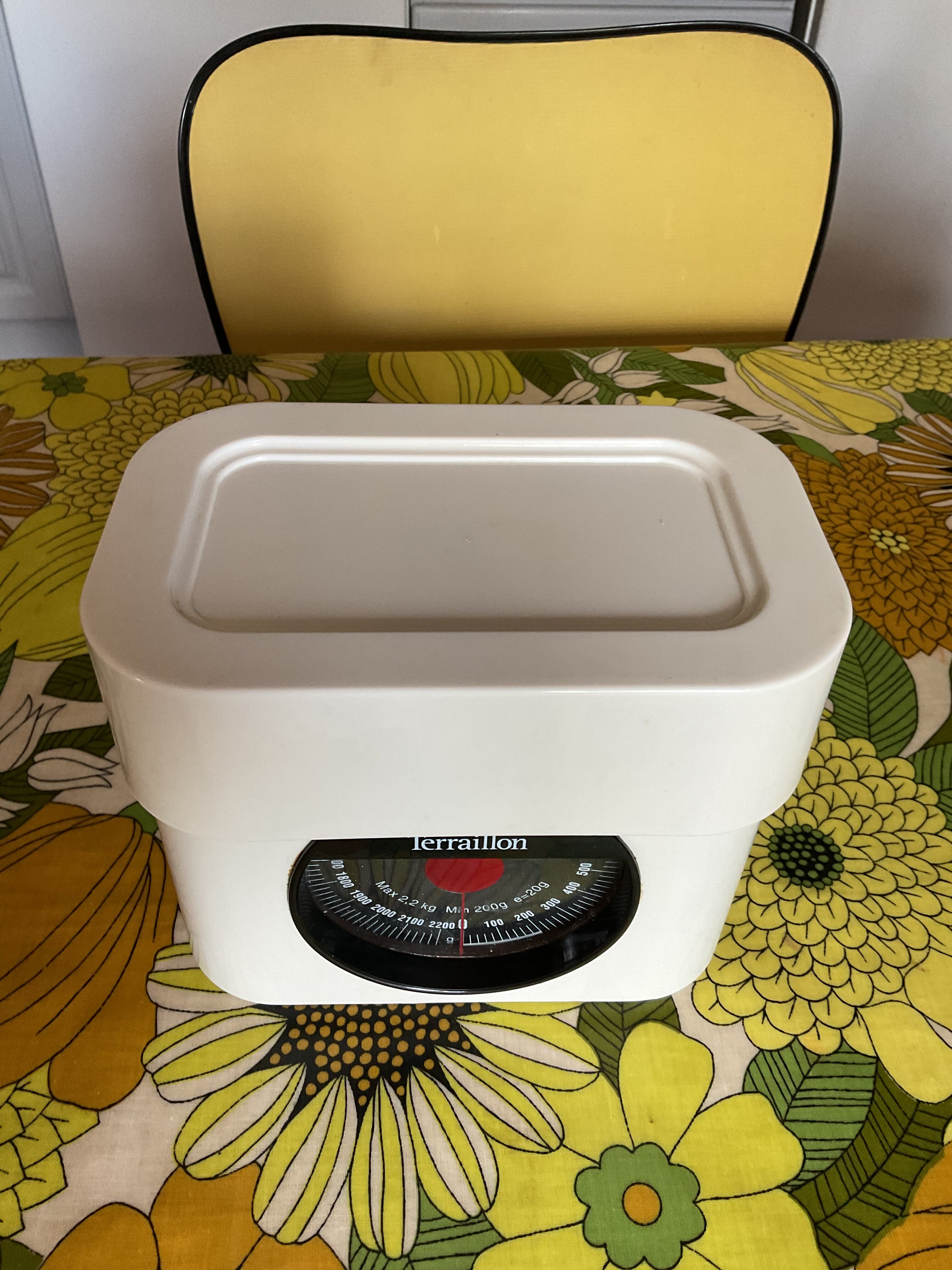 Terraillon vintage white and black scales